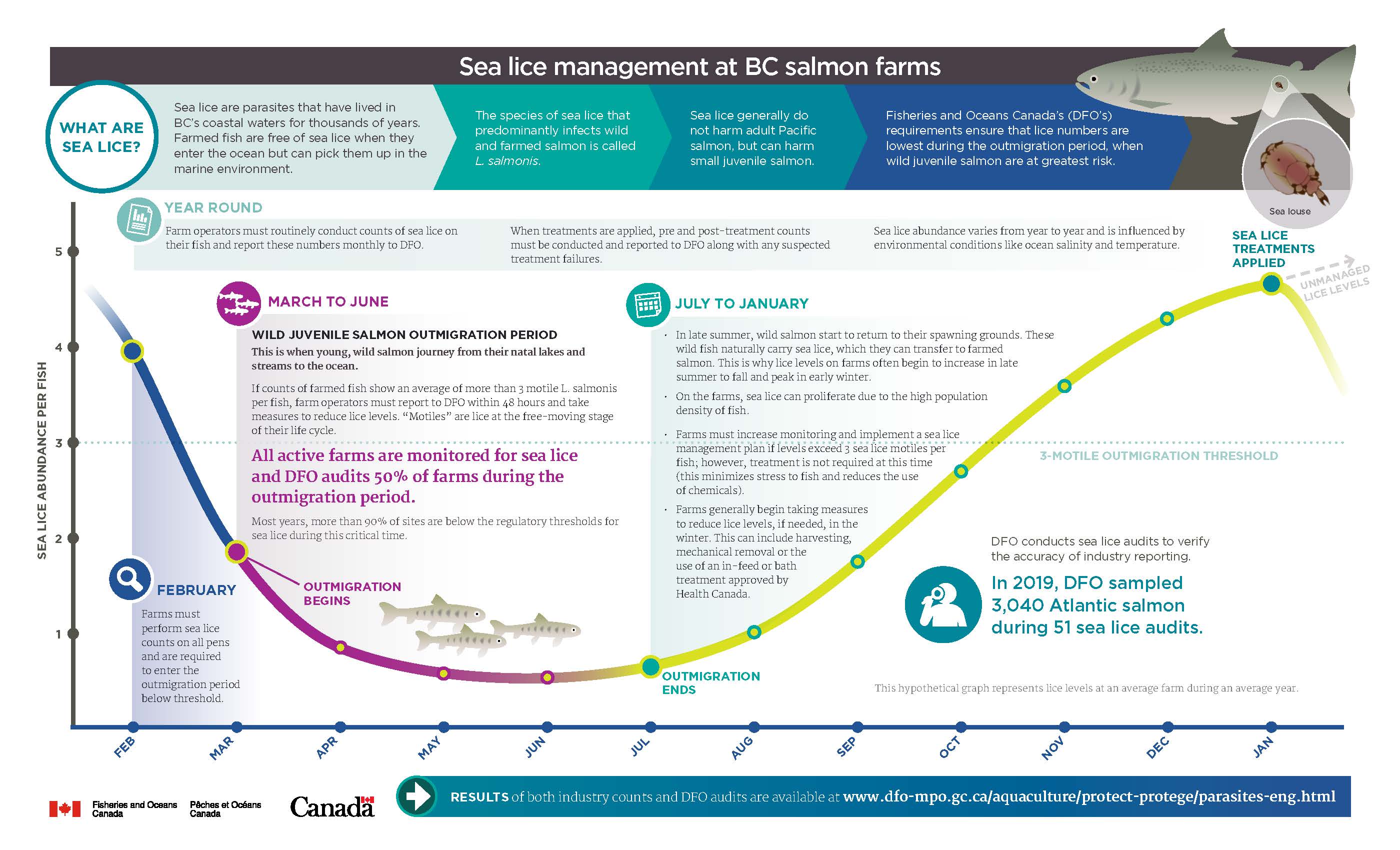 Infographic: Sea lice management at BC salmon farms
