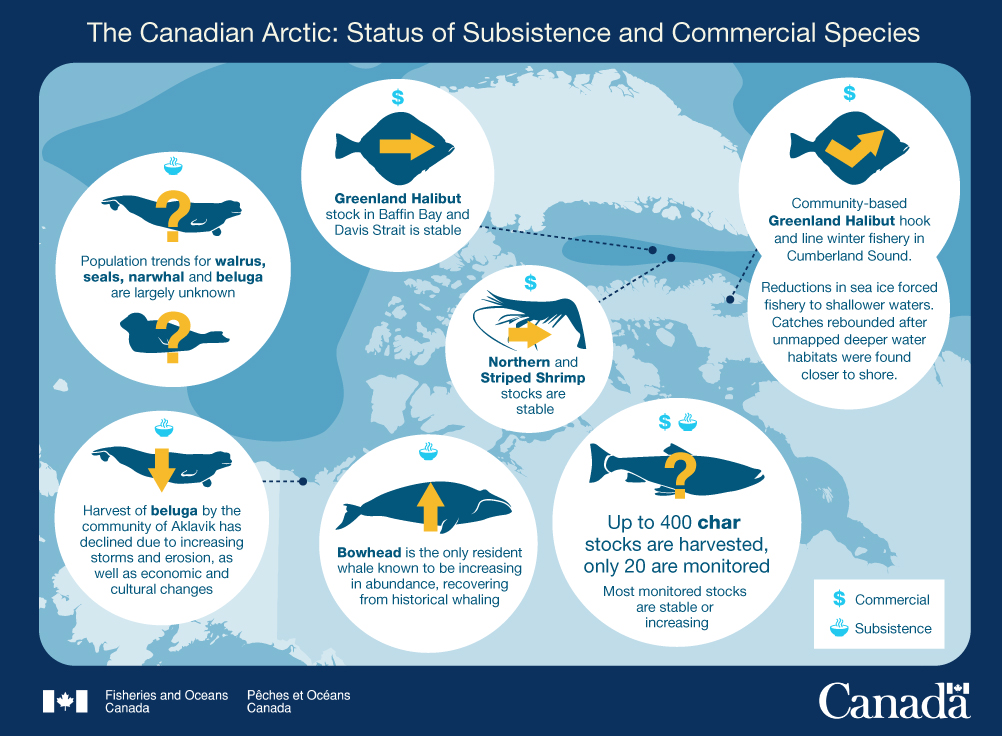 8.	The Canadian Arctic: Status of Subsistence and Commercial Species