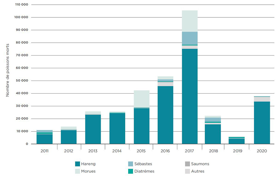 Prises accessoires de la pisciculture marine du MPO, 2011 à 2020