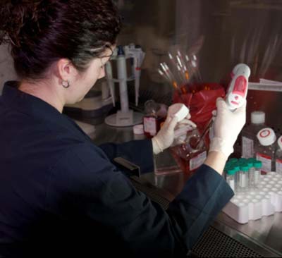 Mélanie Roy, biologist, preparing cells for transfection