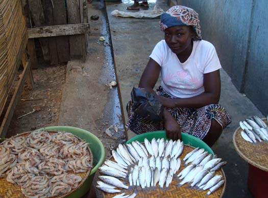 Local fish seller in Mozambique