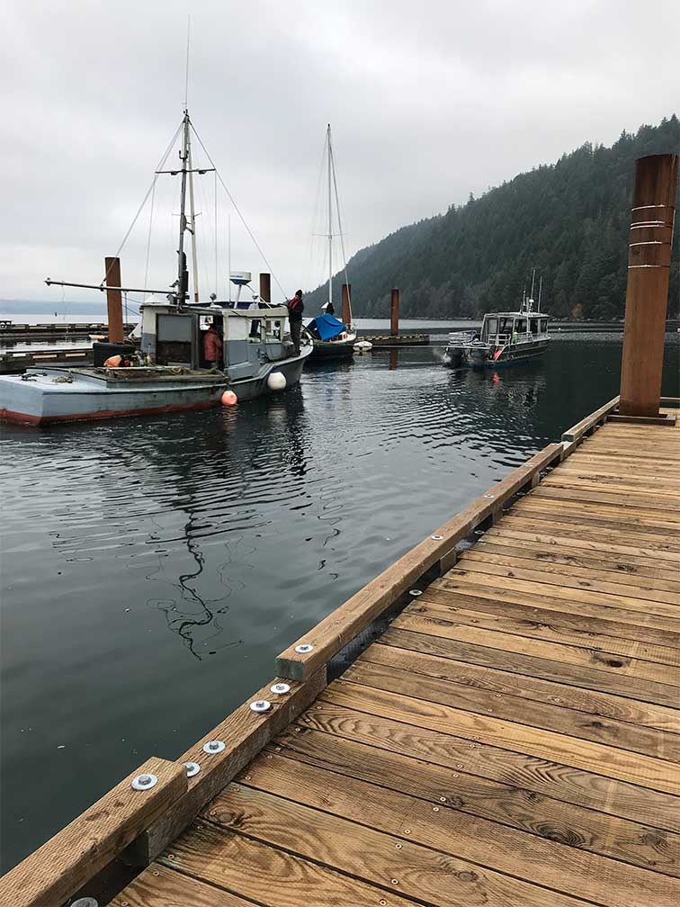 Ford Cove, BC (Ford Cove Harbour Authority)