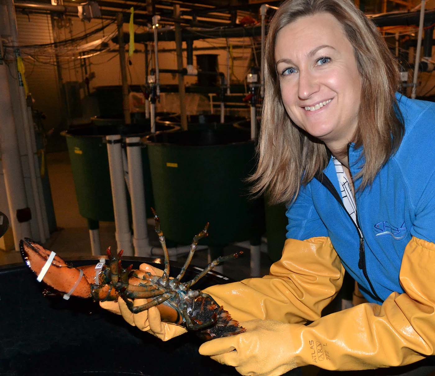 Scientist image. Photo credit: Fisheries and Oceans Canada (DFO).
