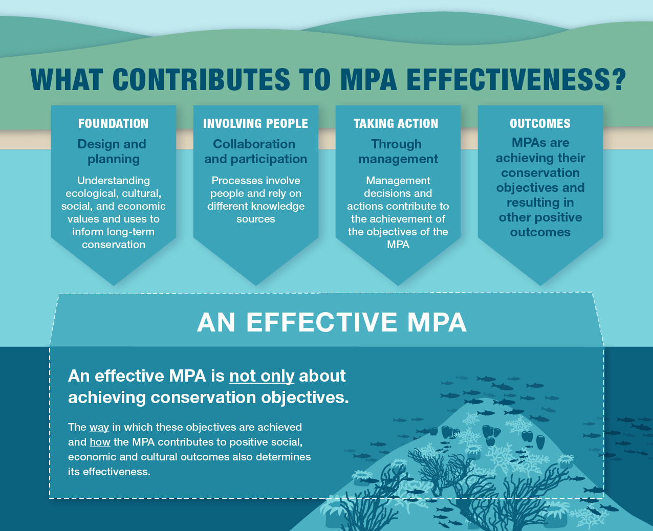 Infographic: What contributes to MPA effectiveness