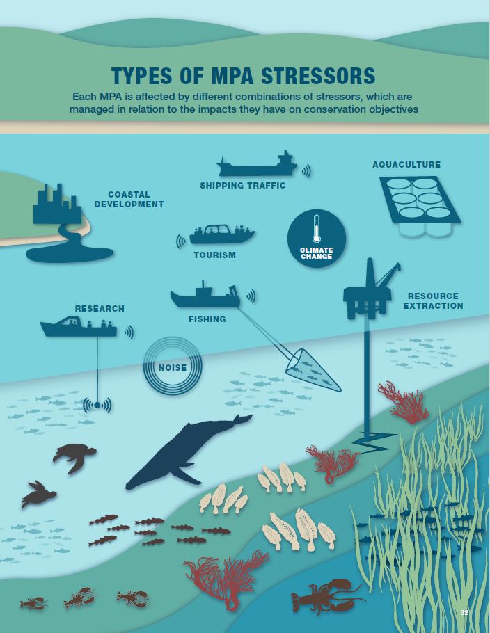 Infographic: Types of MPA stressors