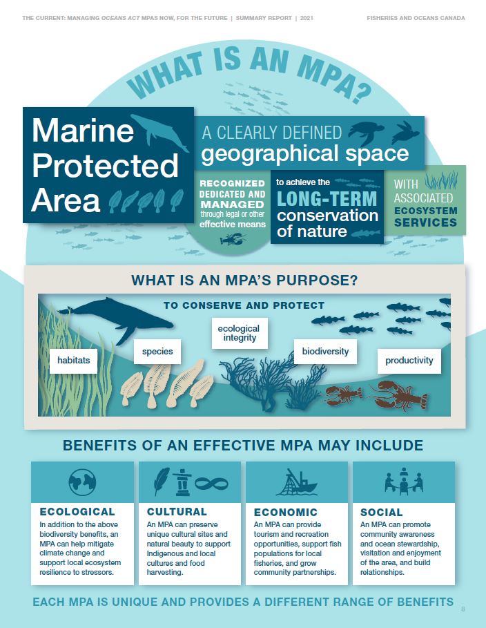 Infographic: What is an Oceans Act MPA