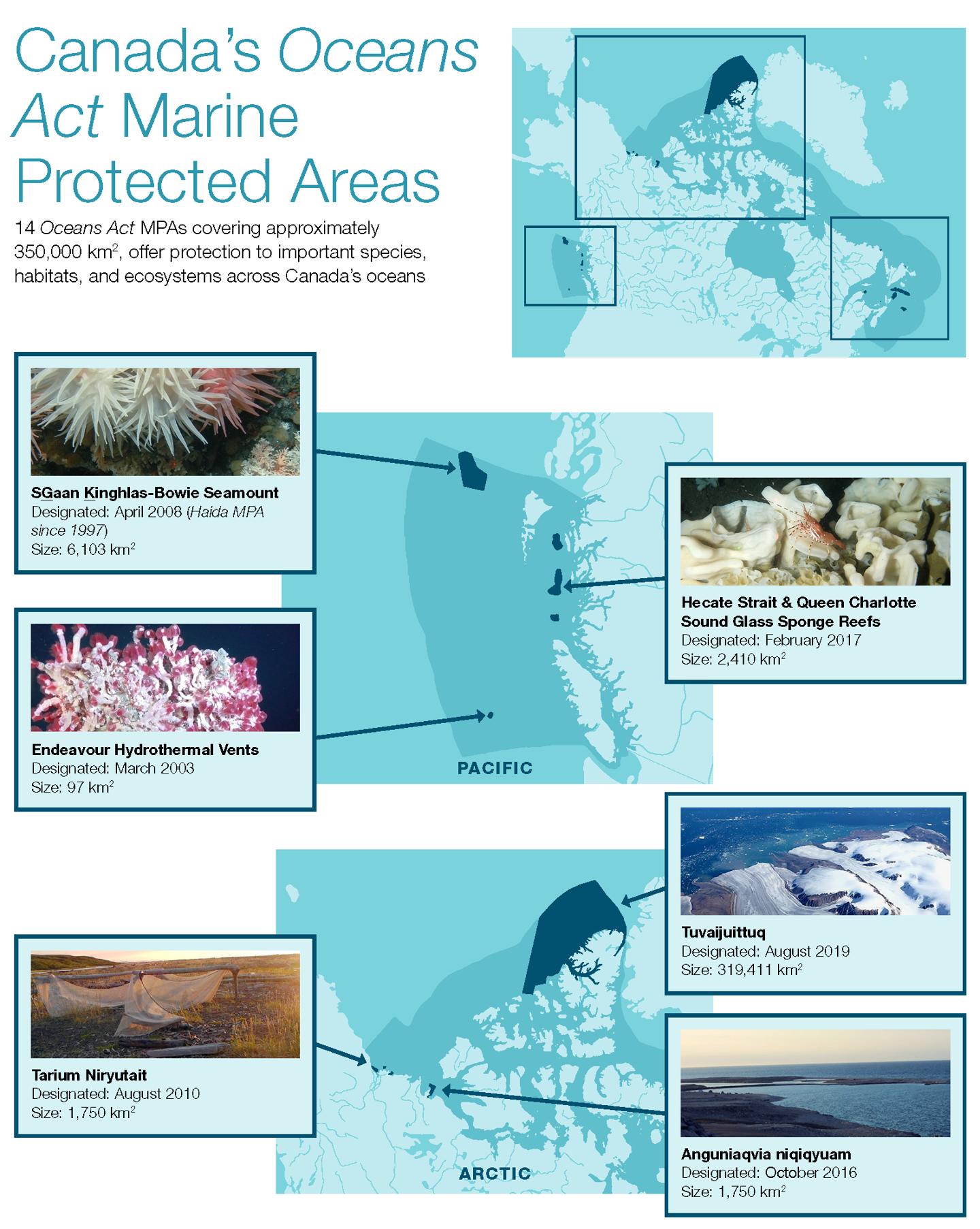 Infographic: Oceans Act MPAs