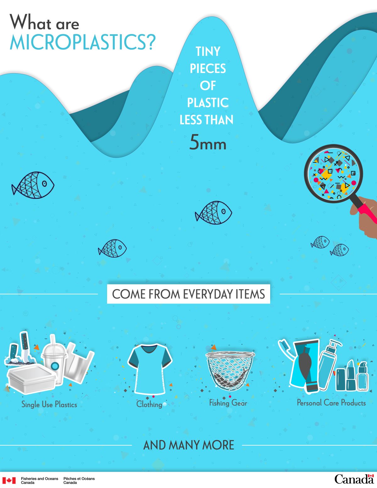 Infographic: What are microplastics?