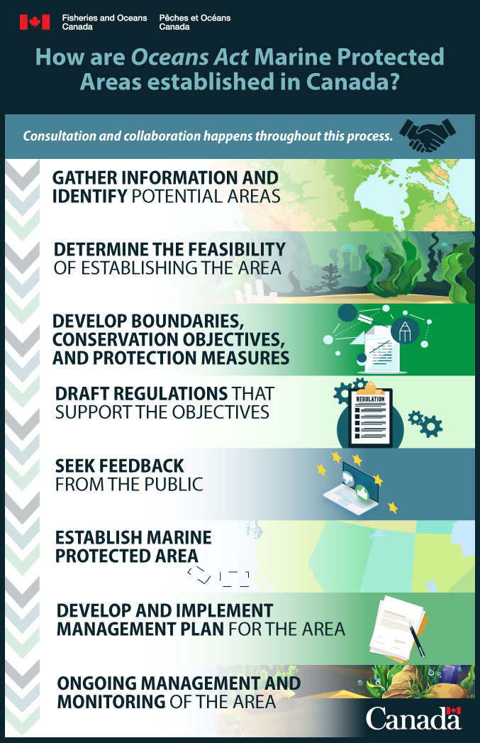 Infographic: How are Marine Protected Areas (MPAs) established in Canada?