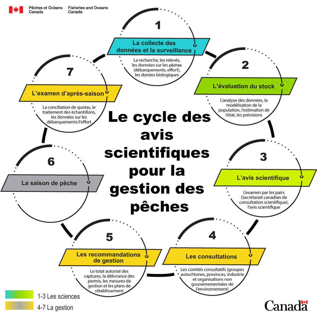 Infographie décrivant le cycle des avis scientifiques pour la gestion des pêches.