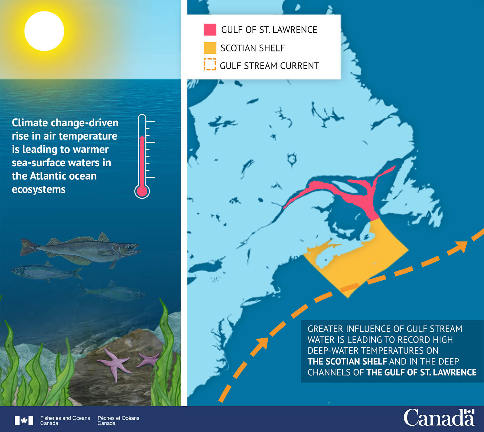 Infographic: Warmer Water