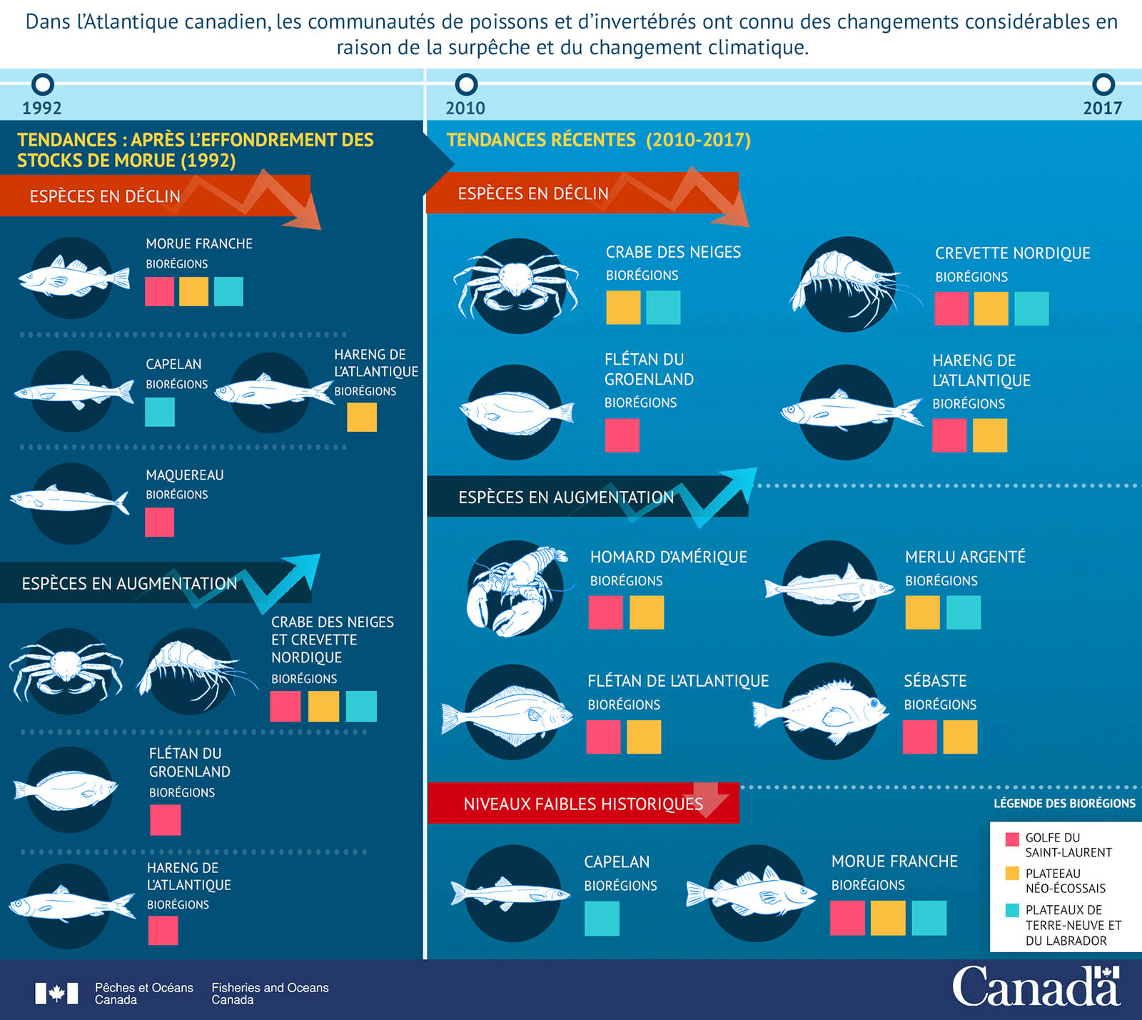 Infographie : Le nombre de poissons et d'invertébrés augmente et chute