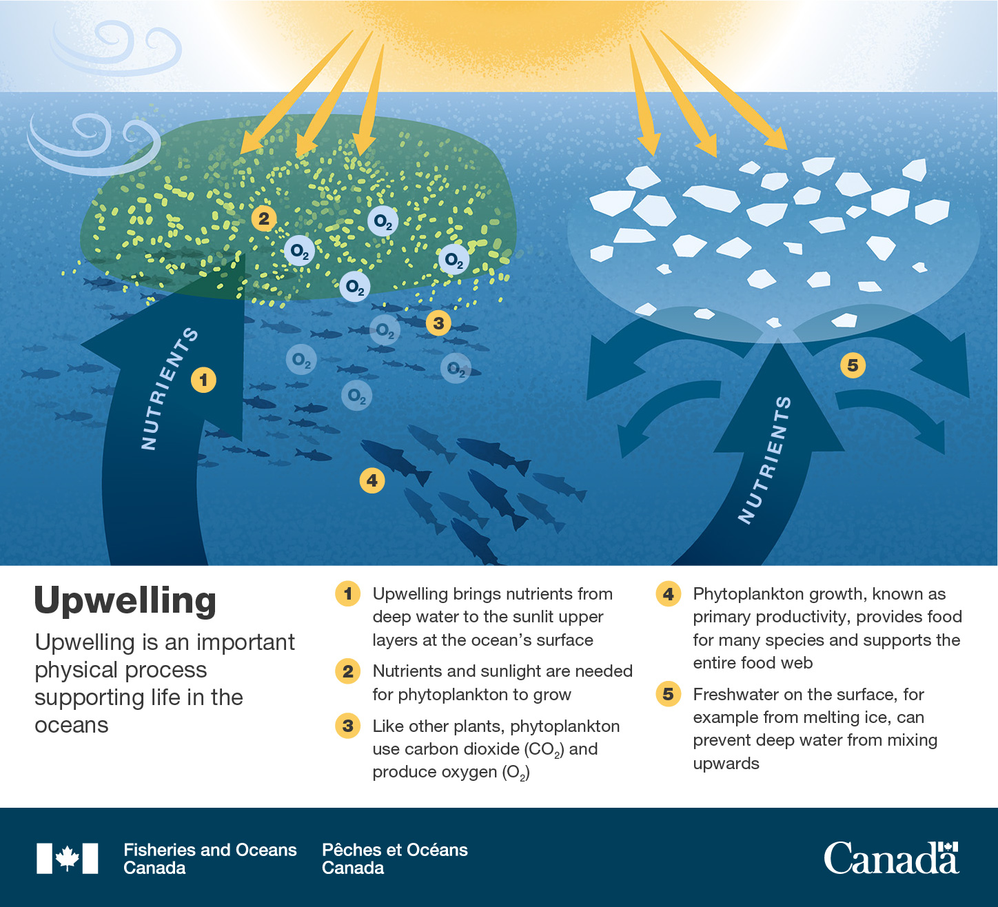 Canada's Oceans Now: Pacific Ecosystems, 2021 - Flow patterns off