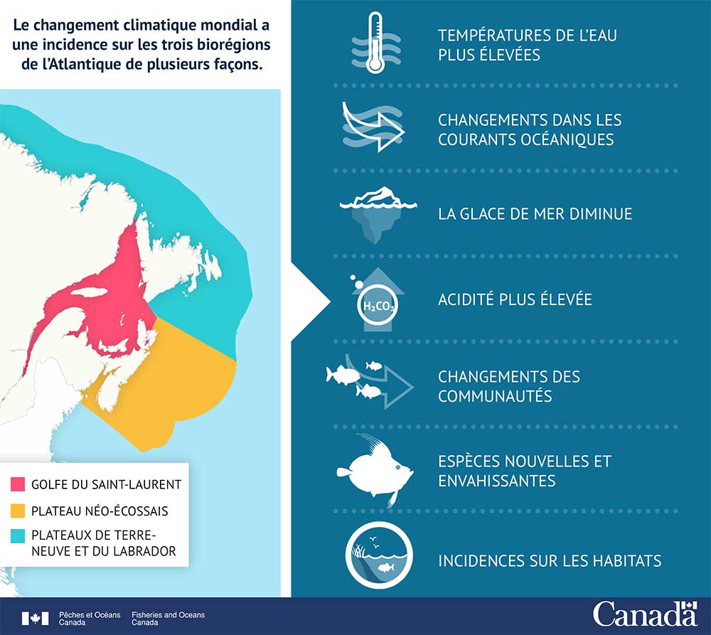 Infographie : Suivi des changements dans l'Atlantique