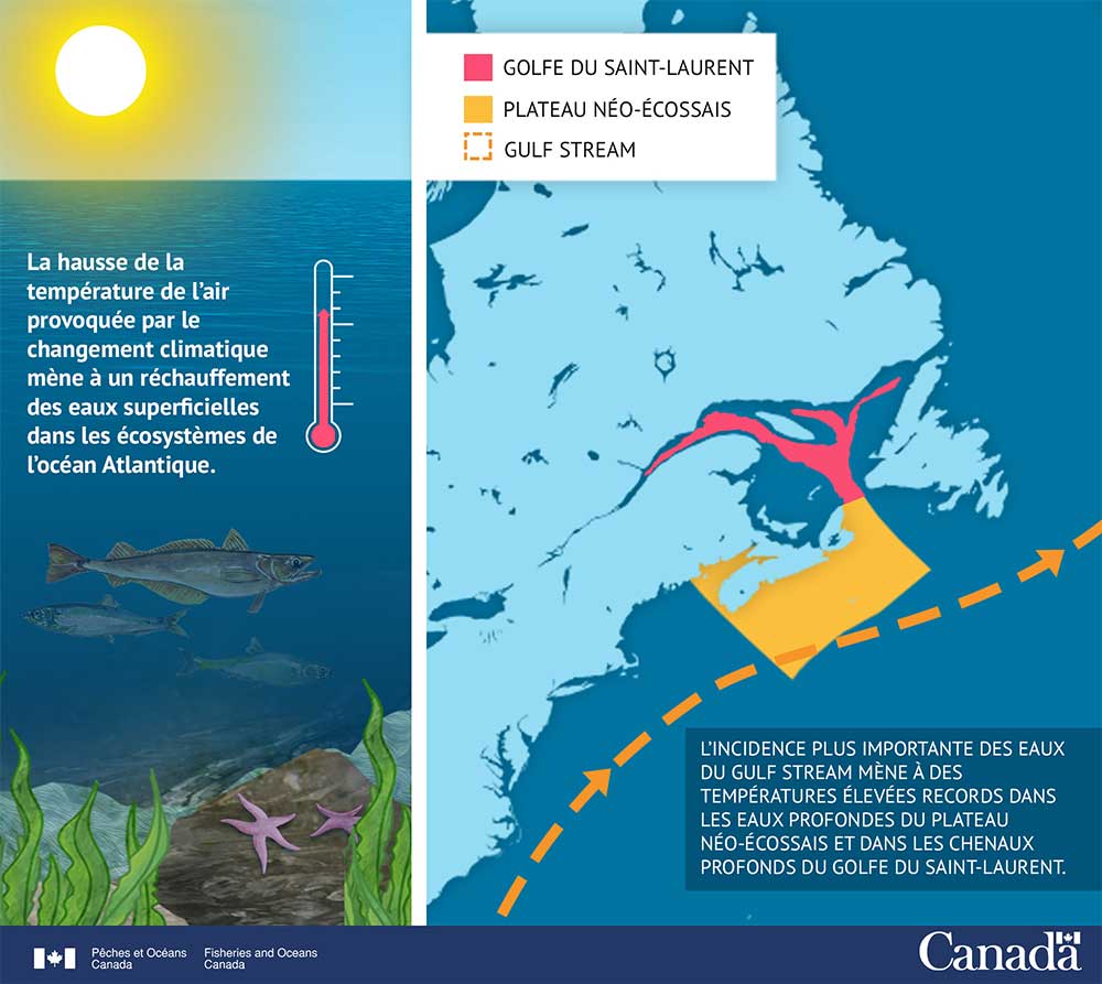 Infographie : Des eaux plus chaudes