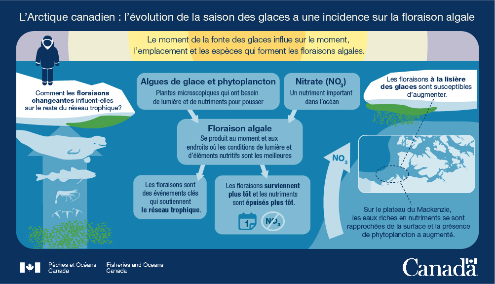 6.	L'Arctique canadien : L'évolution de la saison des glaces a une incidence sur la floraison algale