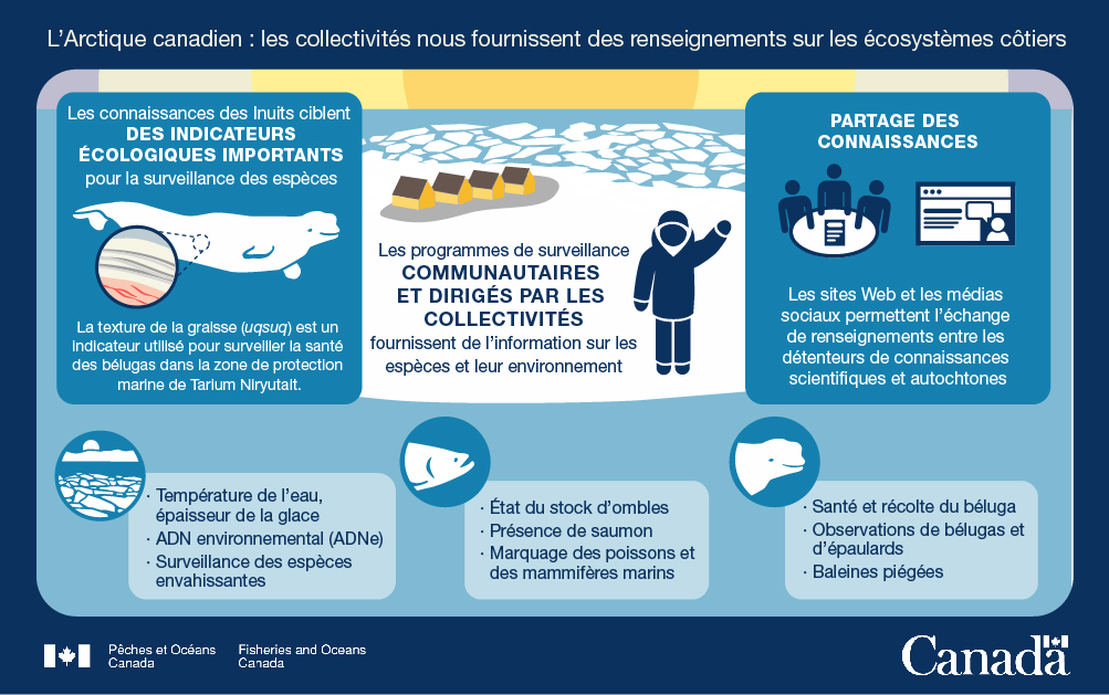 11.	L'Arctique canadien : Les collectivités nous fournissent des renseignements sur les écosystèmes côtiers