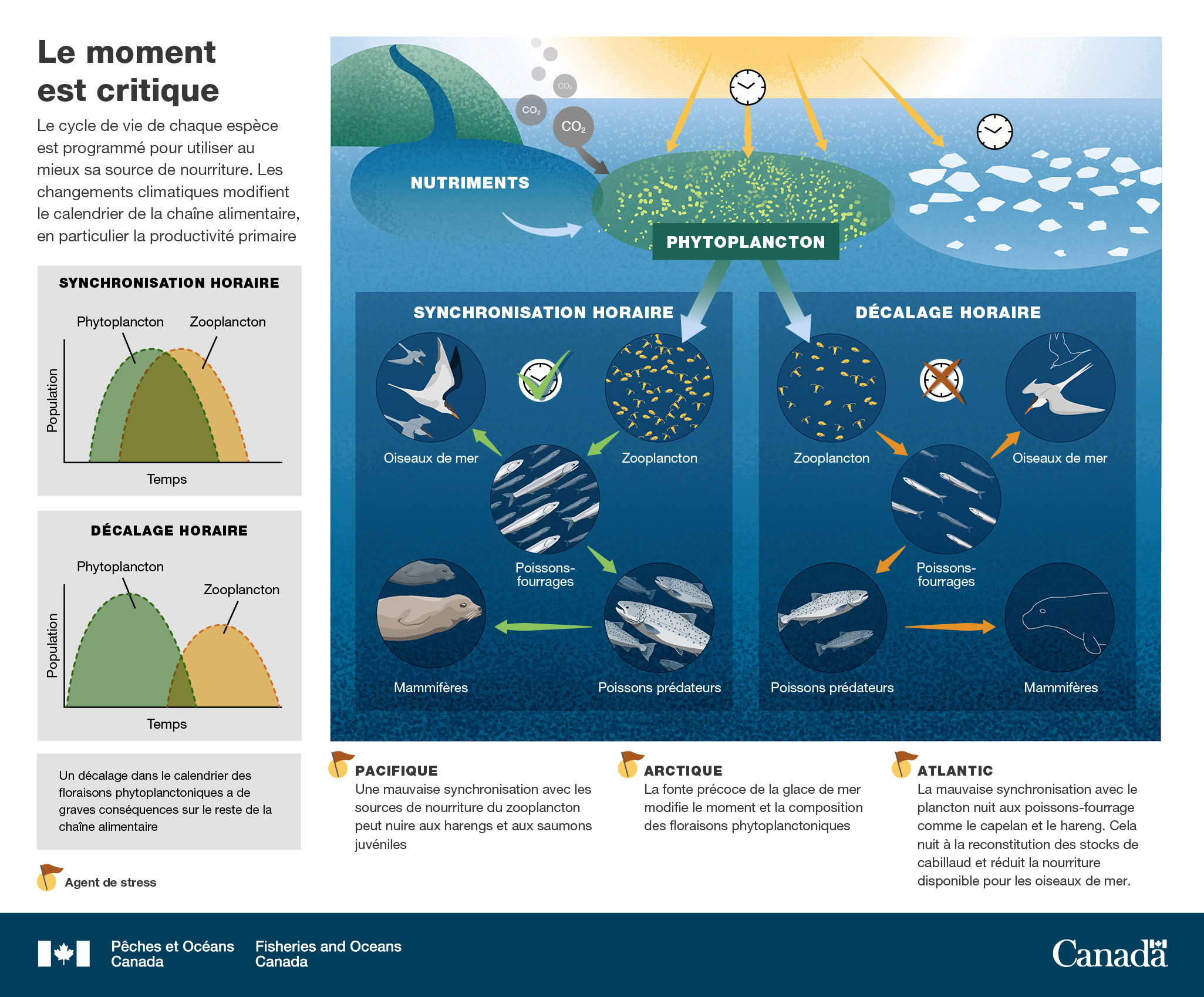 Infographie : Le moment est critique