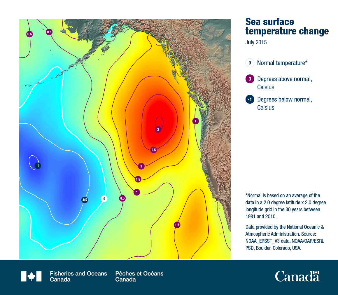 Sea surface temperature change