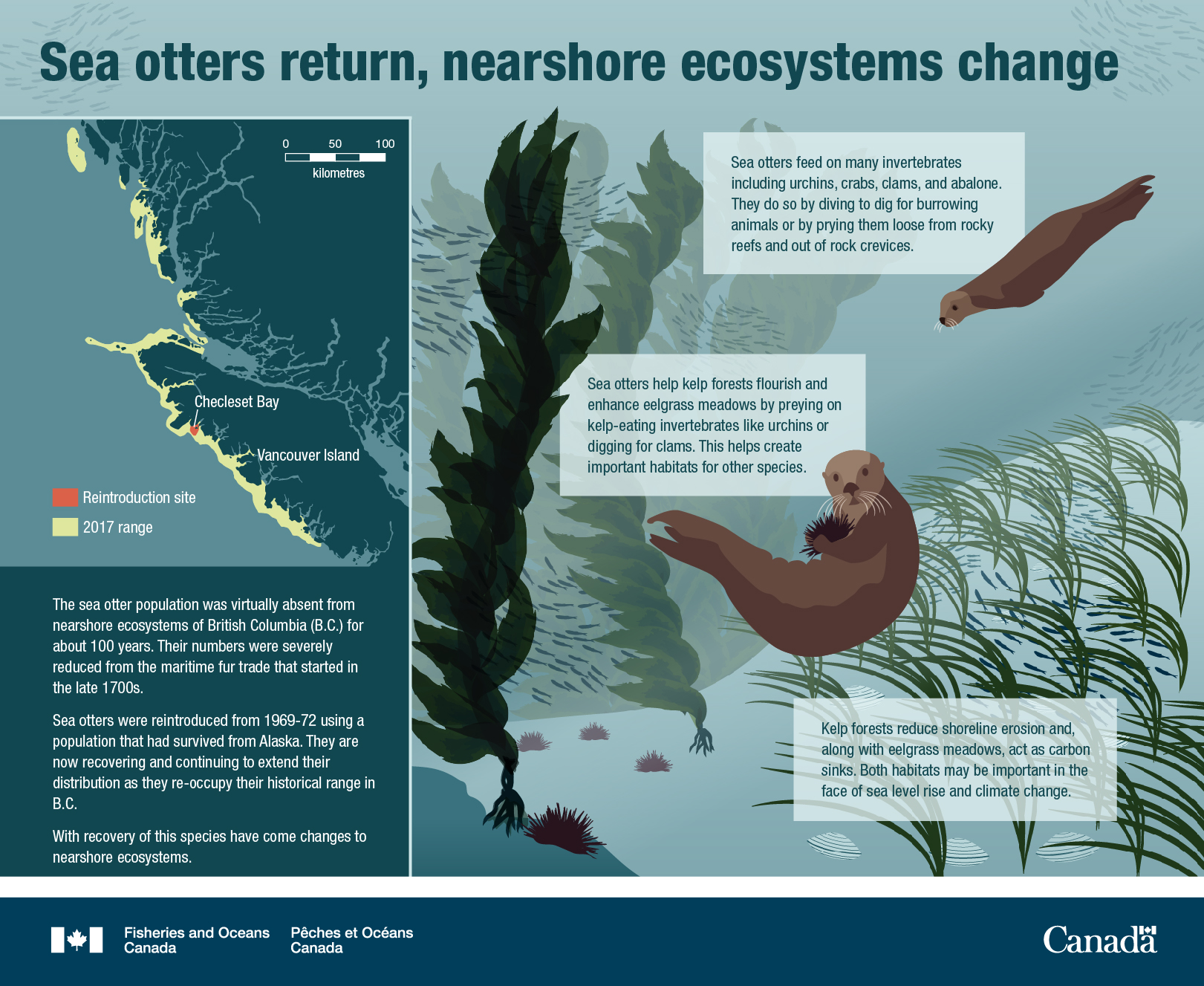 Sea otters return, nearshore ecosystems change