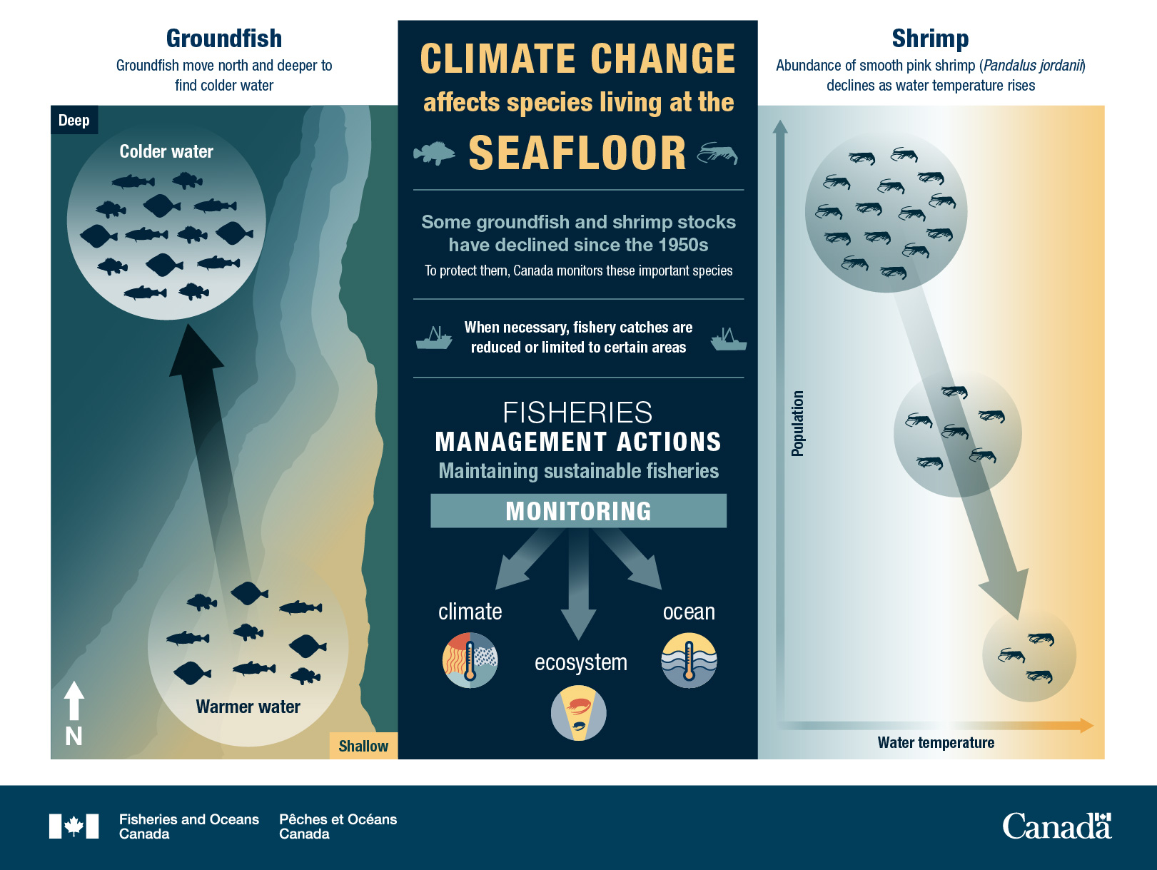 Climate change affects species living at the seafloor