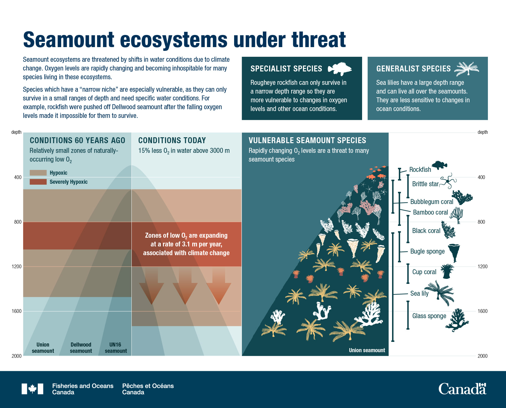 Seamount ecosystems under threat