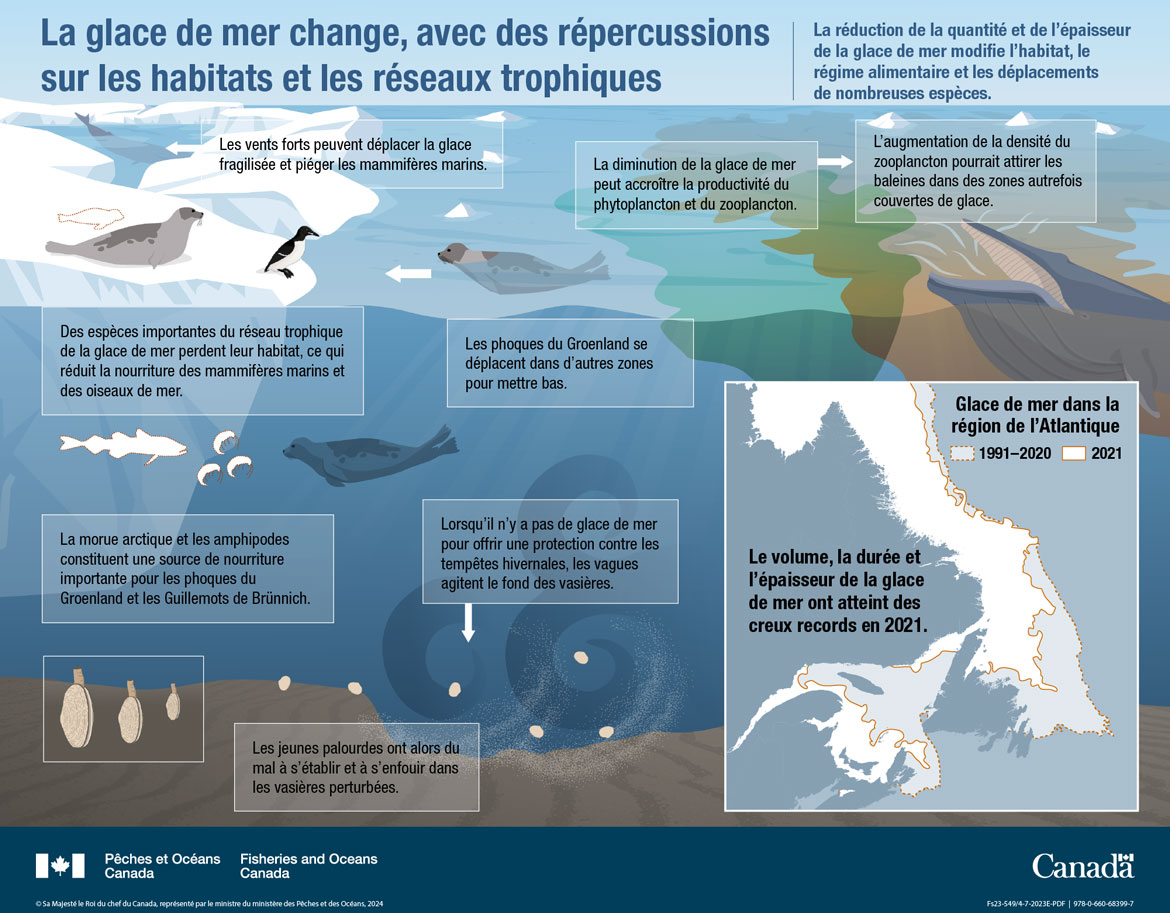 Les océans du Canada maintenant : Écosystèmes de l’Atlantique, 2022 -  La glace de mer change, avec des répercussions sur les habitats et les réseaux trophiques.