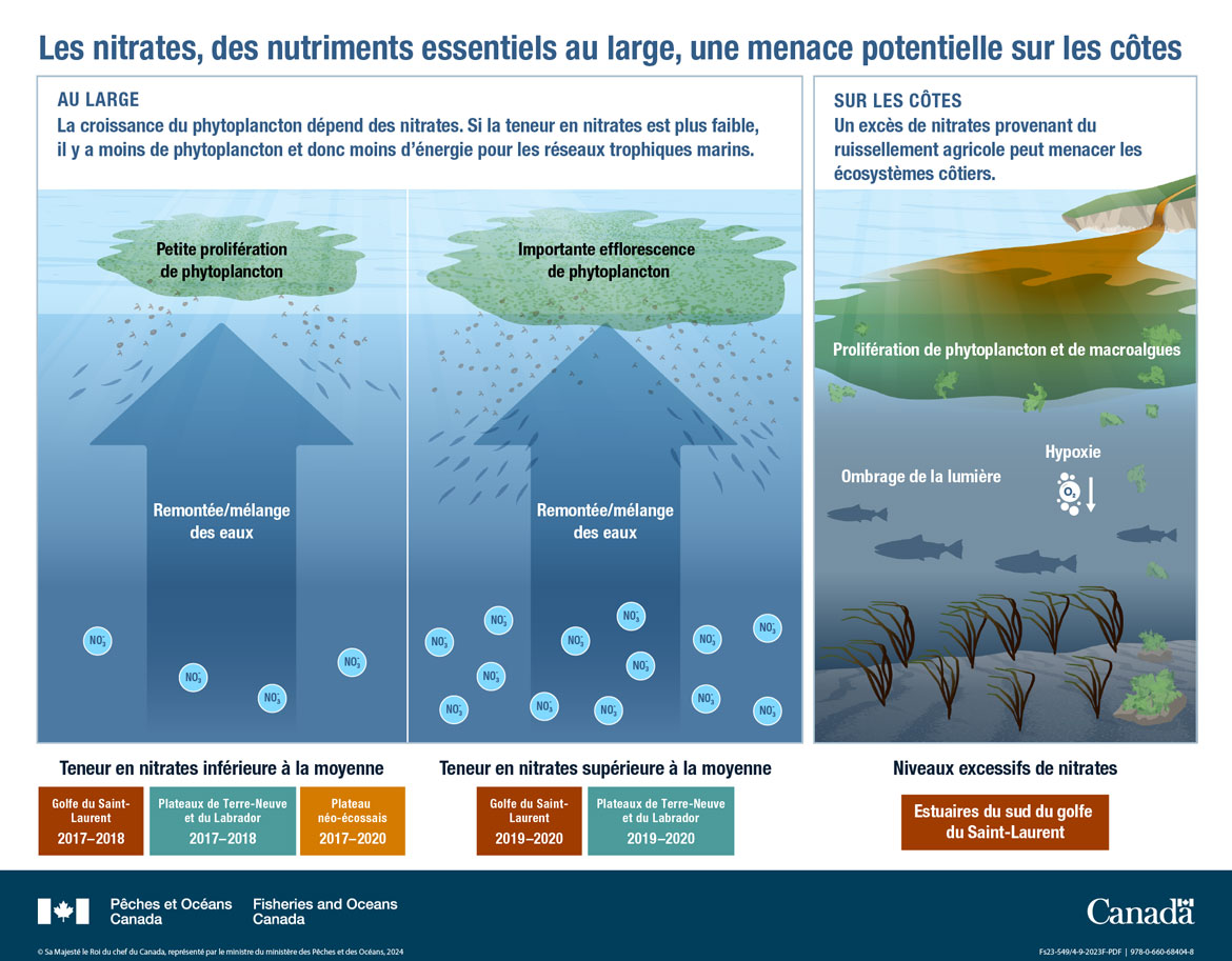 Les océans du Canada maintenant : Écosystèmes de l’Atlantique, 2022 - Les nitrates, des nutriments essentiels au large, une menace potentielle sur les côtes