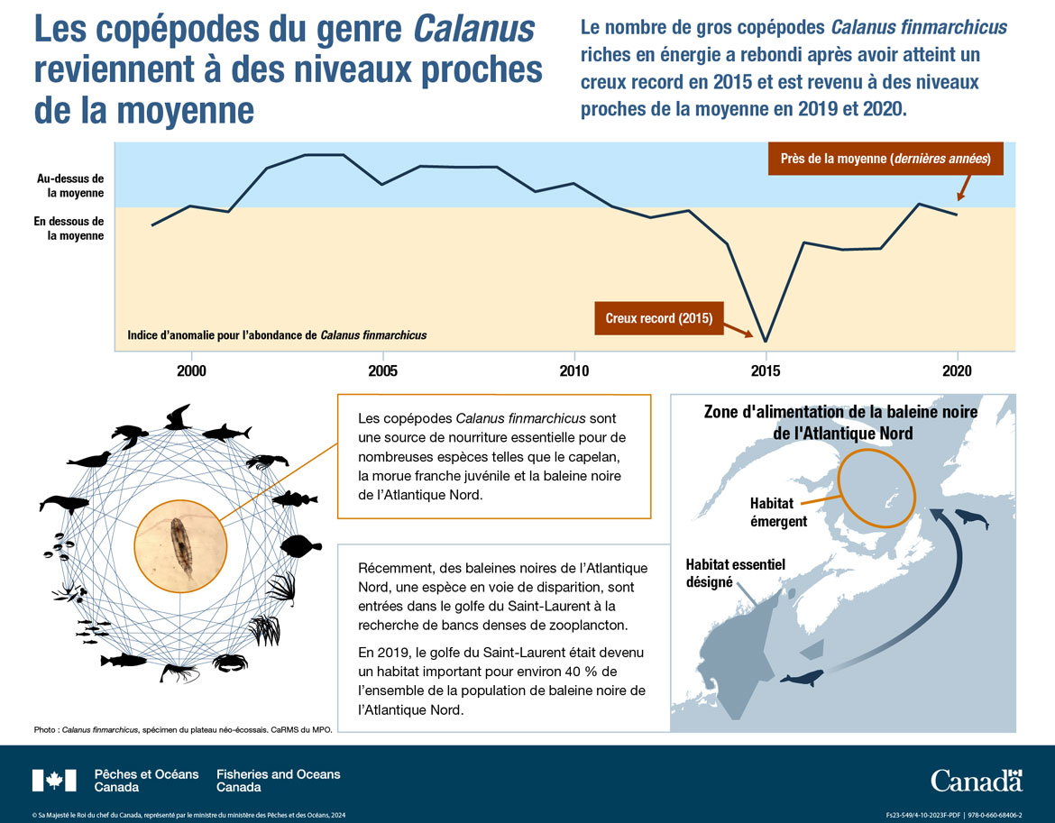 Les océans du Canada maintenant : Écosystèmes de l’Atlantique, 2022 - Les copépodes du genre Calanus reviennent à des niveaux proches de la moyenne