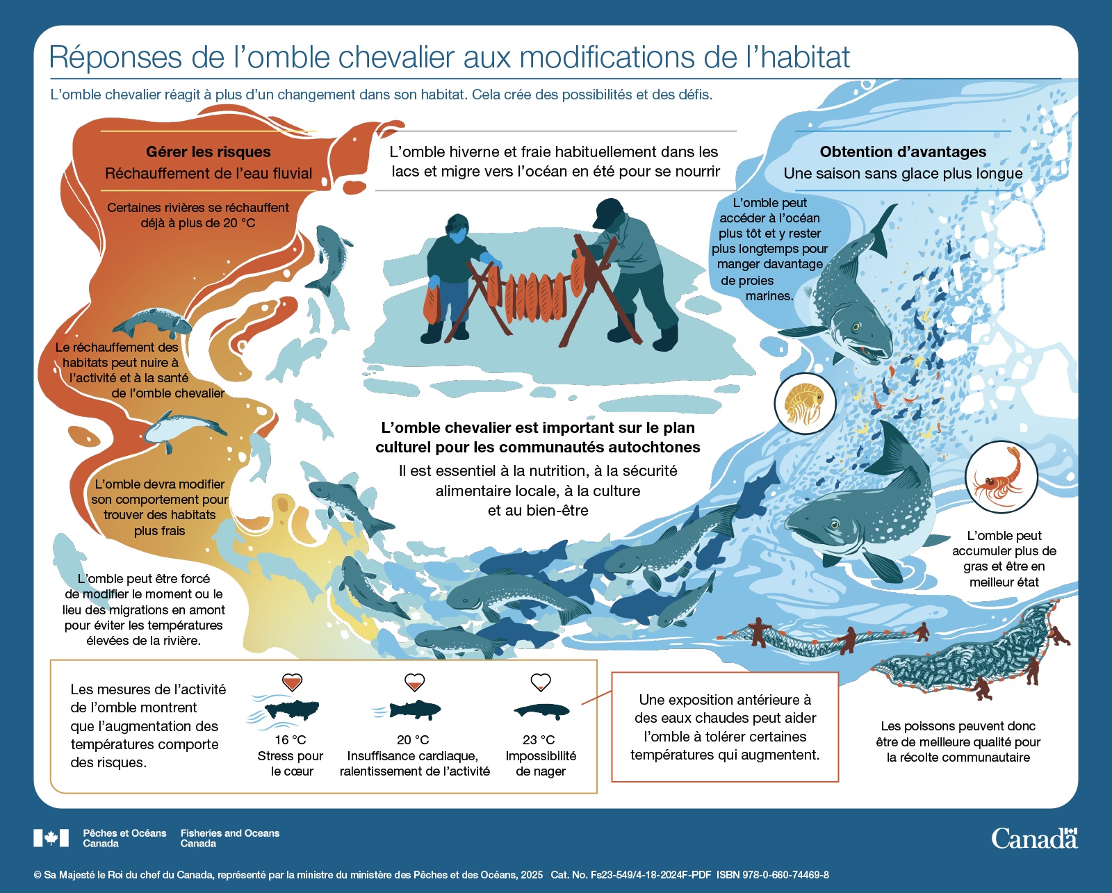 Les océans du Canada maintenant : Écosystèmes de l’Arctique, 2023 - Réponses de l’omble chevalier aux modifications de l’habitat