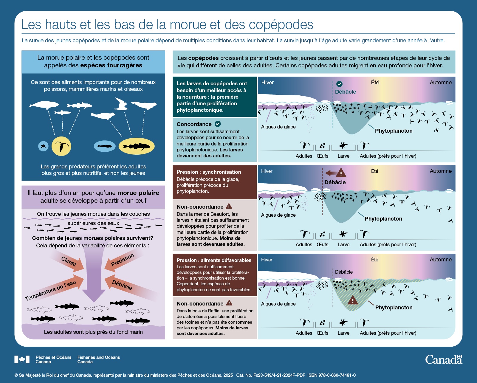 Les océans du Canada maintenant : Écosystèmes de l’Arctique, 2023 - Les hauts et les bas de la morue et des copépodes