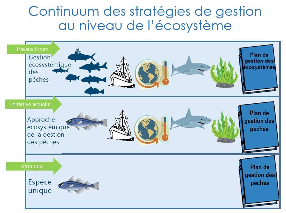 Infographie décrivant  le continuum des stratégies de gestion au niveau de l'écosystème