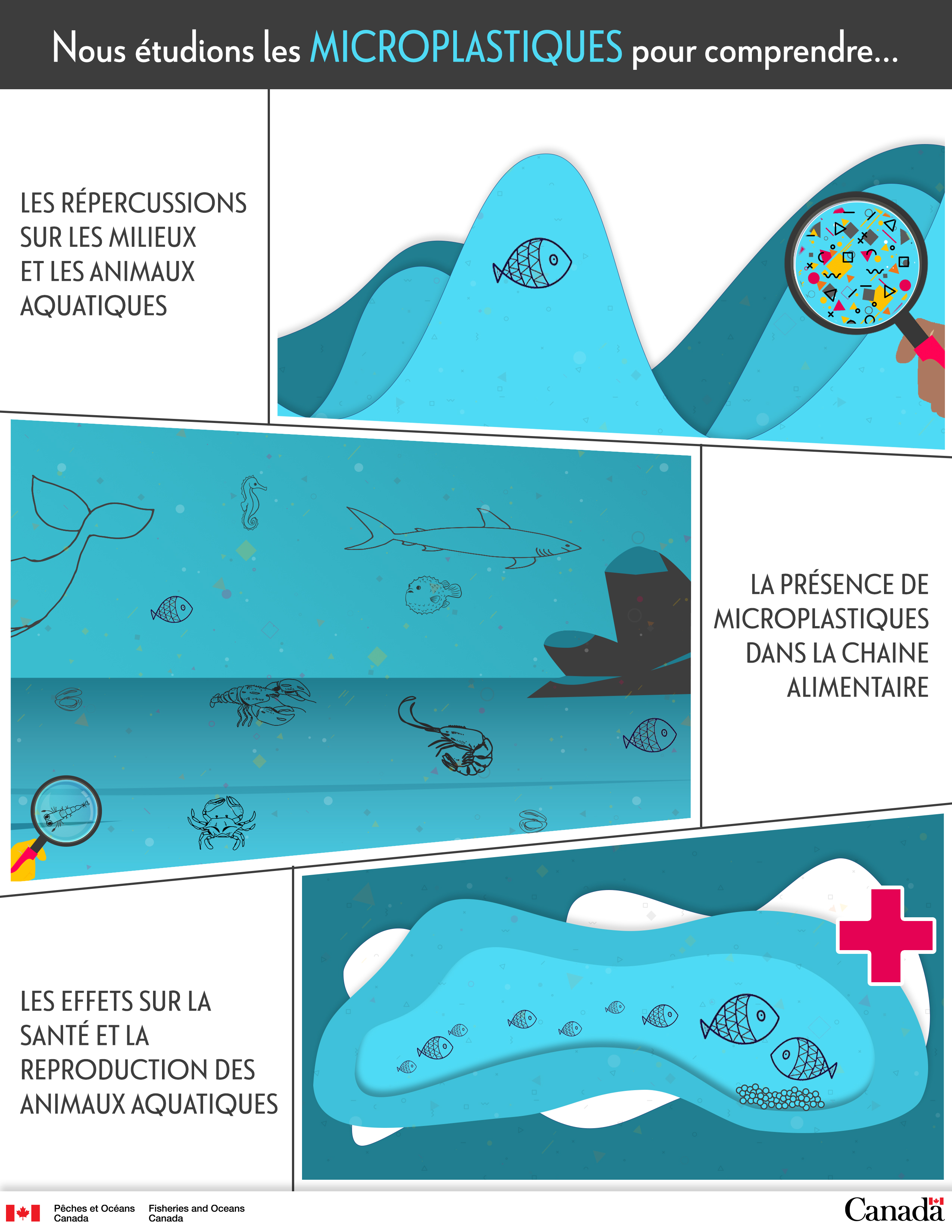 Infographie : Les effets des microplastiques sur les animaux aquatiques