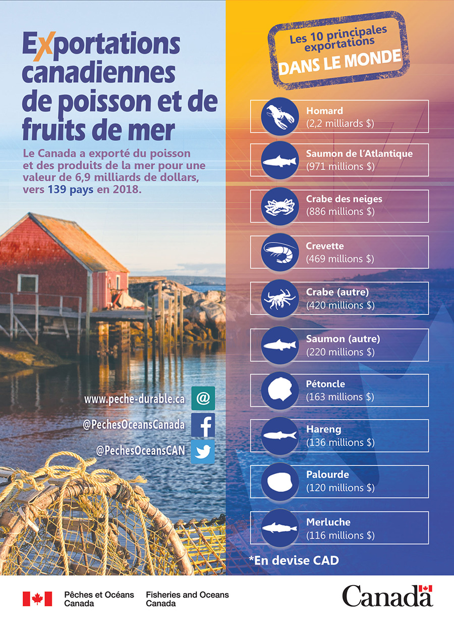 Infographie : Exportations de poissons et de fruits de mer 2018