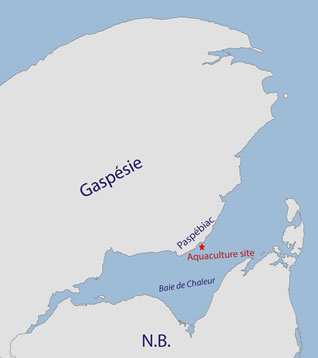 Figure 4. Map of Chaleur Bay off Paspébiac, showing the location of the aquaculture site.