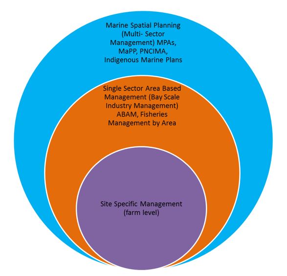 This figure is a diagram illustrating how area-based aquaculture management is situated within existing area-based and spatial planning initiatives in British Columbia.