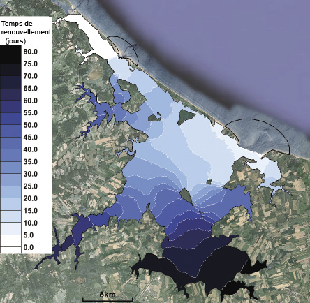 La répartition spatiale du temps de renouvellement de l’eau dans la baie Malpeque, à l’Î.-P.-É.