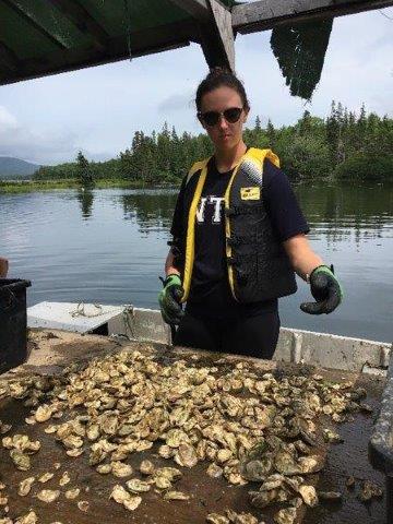 Hailey Shchepanik sorting oysters