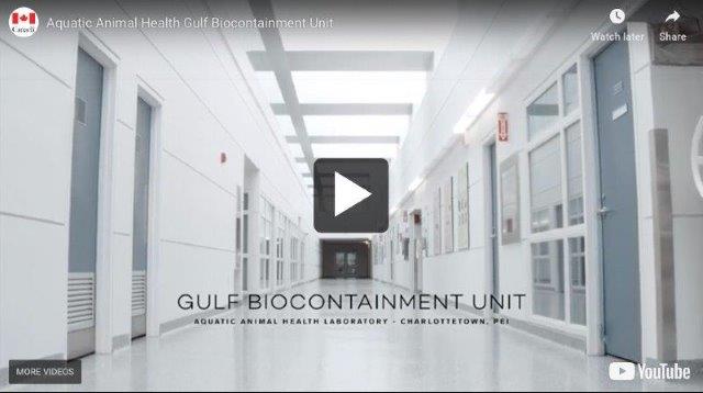 video of Fisheries and Oceans Canada's Gulf Biocontainment Unit