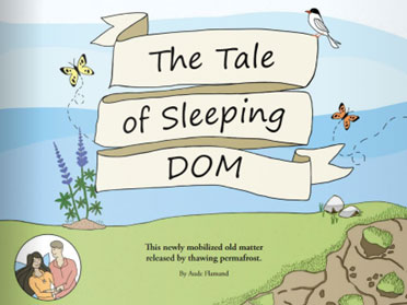 Graphic design art that depicts grassy fields, butterflies, birds, and flowers against a blue sky, with the words 'The Tale of Sleeping DOM' centered, and a drawing of two people on the bottom-left corner.