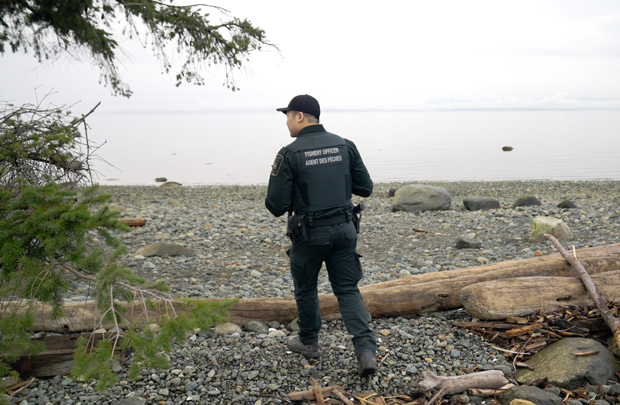 Un agent des pêches sur une plage pierreuse, regardant l’eau.