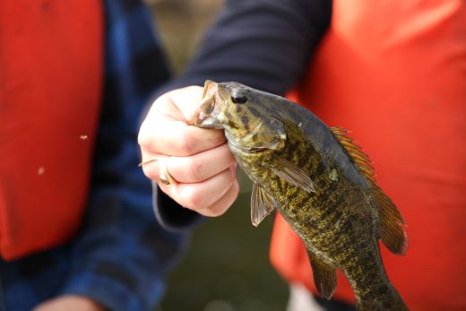 Fisher holding a smallmouth bass by the mouth.
