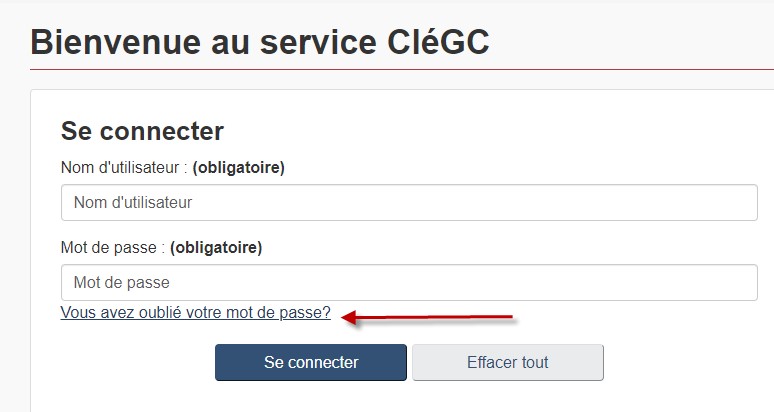Page Bienvenue au service CléGC