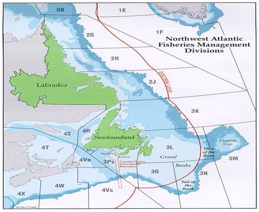 Carte des divisions de l'Organisation des pêches de l'Atlantique Nord-Ouest (OPANO) dans la région de Terre-Neuve-et-Labrador