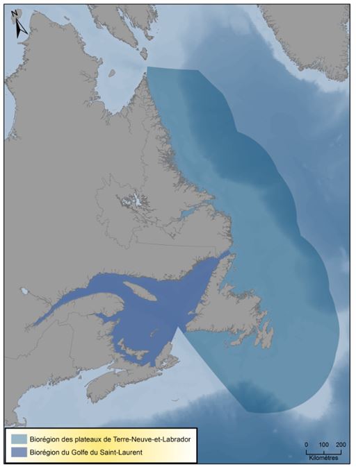 Carte de la biorégion des plateaux de Terre Neuve et-Labrador (en bleu clair) et de la biorégion du golfe du Saint-Laurent (en bleu foncé).