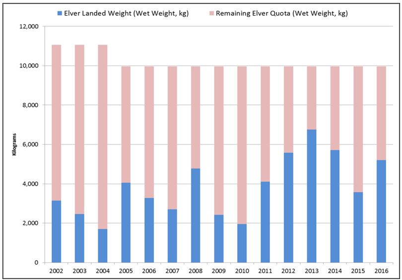 Graph of Maritimes Region elver quota and landed weight (kg, wet weight), 2002-2016(p)