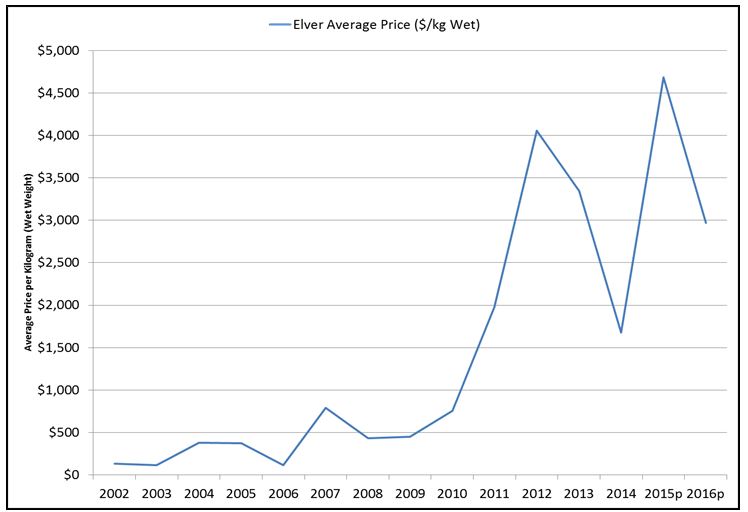 Graph of Maritimes Region elver average price ($/kg, wet weight), 2002-2016(p)