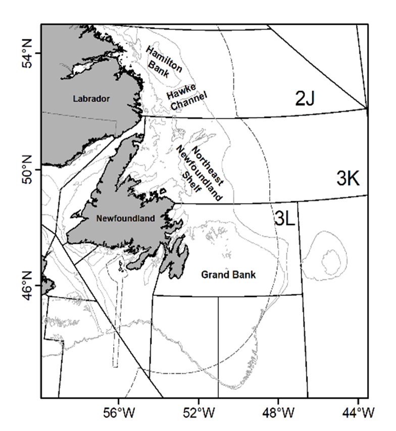 Map of stock area of 2J3KL Witch  flounder