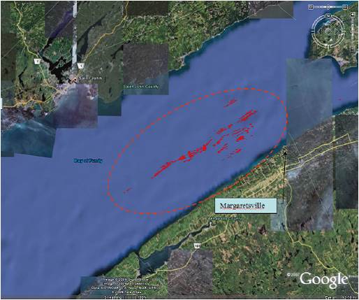Google Maps image of Horse mussel reefs in the Bay of Fundy