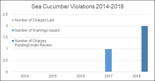 Graphic of sea cucumber violations